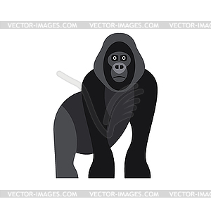 Cute monkey icon, logo, symbol - vector clipart