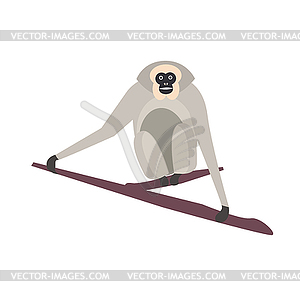 Cute monkey icon, logo, symbol - vector clipart