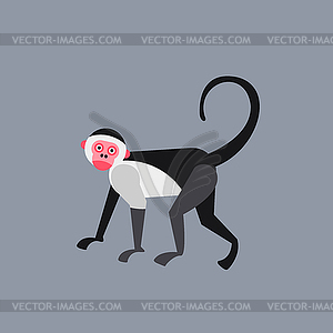 Cute monkey icon, logo, symbol - color vector clipart