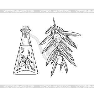 Olive Oil In Glass Bottle And Branch Realistic - vector clip art