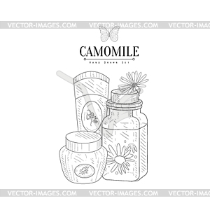 Camomile Natural Cosmetics Realistic Sketch - royalty-free vector clipart