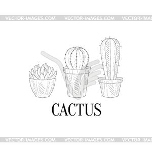 Three Chubby Home Cacti Realistic Sketch - vector clipart