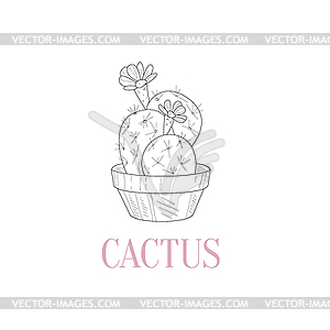 Cactus Home Plant Realistic Sketch - color vector clipart