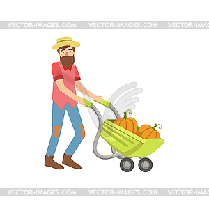 Bearded Man Rolling Wheel Barrel With Pumpkins - vector clipart