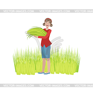 Woman Collecting Green Crops - vector clipart