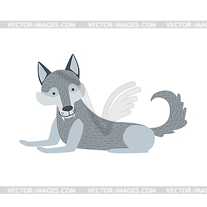 Grey Wolf With Fangs Laying Down - vector clipart