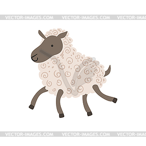 Grey Sheep With White Wool Walking - vector clipart