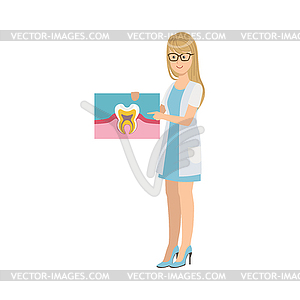 Woman Dentist In White Gown Holding Tooth Anatomy - vector clip art