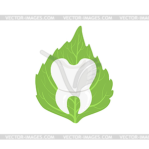 White Healthy Tooth With Roots With Green Leaf On - vector image