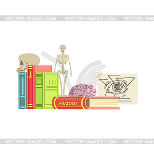 Anatomy Class Set Of Objects - vector image