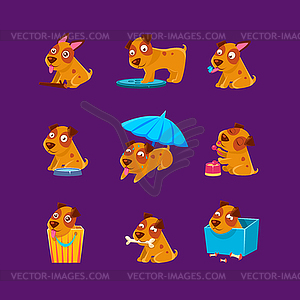 Pet Puppy Everyday Activities Collection - vector image