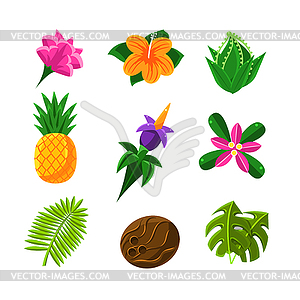 Тропических экзотических фруктов и Флора набор иконок - иллюстрация в векторе