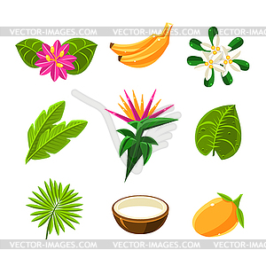 Tropical Exotic Fruits And Flora Set Of Icons - vector clipart