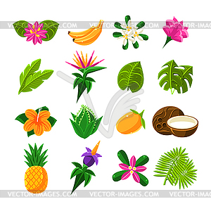 Тропических экзотических фруктов и Флора набор иконок - изображение в векторе / векторный клипарт