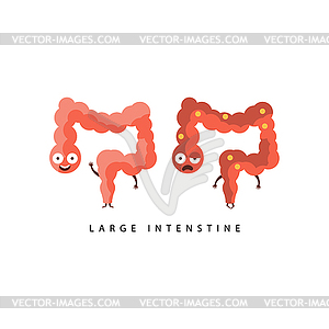 Healthy vs Unhealthy Large Intestine Infographic - vector image