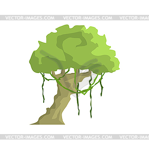 Tropical Tree With Liana Hanging Jungle Landscape - stock vector clipart