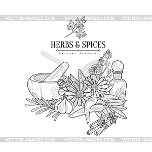 Herbs And Spices Realistic Sketch - vector clipart