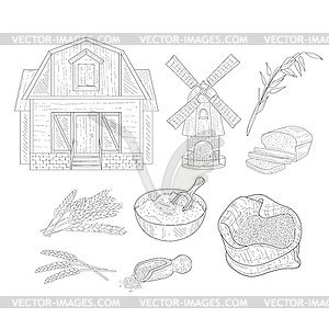 Wheat Farm Realistic Sketches - vector image