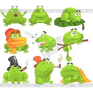 Green Frog Funny Character Set Of Different - vector image