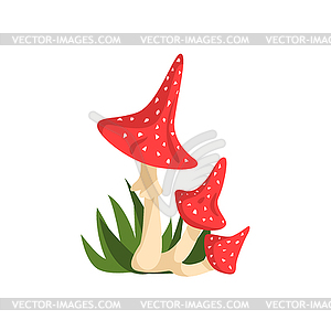 Three Death Cap Mushrooms Element Of Forest - vector image