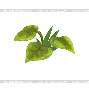 Wide Leaf Green Pant Element Of Forest Landscape - vector EPS clipart