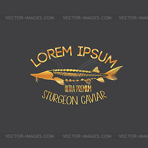 Caviar Concept Designs - royalty-free vector image