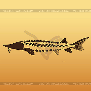 Caviar Concept Designs - vector image