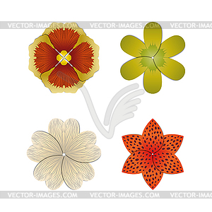 Flower bud set, - vector clipart