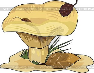 Milk mushroom - vector EPS clipart