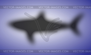 Shark design - vector clip art