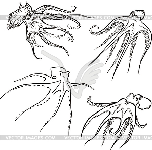 Set of octopuses - vector image