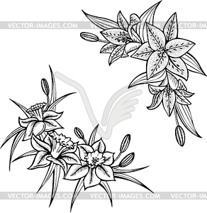 Lilies - vector clipart