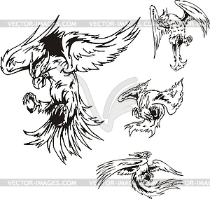 Predatory Bird Tattoos - vector clipart