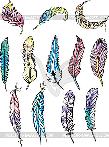 Motley feathers - vector image