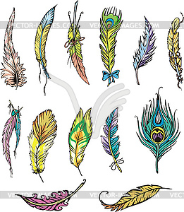 Motley feathers - color vector clipart