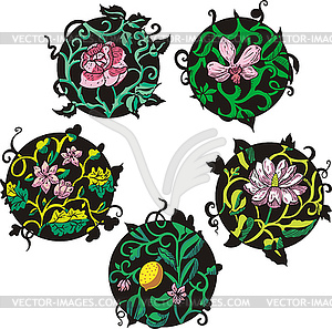 Round pink flower designs - vector image