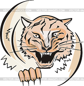 Round sketch of tiger head - vector EPS clipart