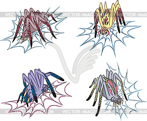 Spiders on web - vector clip art