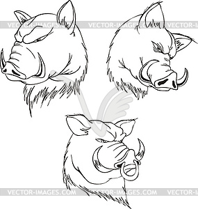 Aggressive boar heads - vector clip art