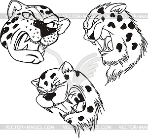 Aggressive leopard heads - vector image