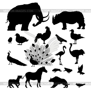 Wild animal silhouettes - royalty-free vector clipart