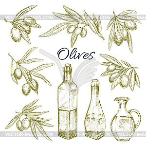 Olives, olive oil bottles pitchers sketch - vector image