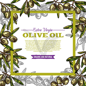 Olive oil label with green fruit and leaf frame - vector image