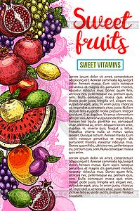 Fruit and berry banner with natural farm product - color vector clipart