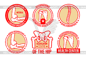 Icons for orthopedics and rheumatology - color vector clipart