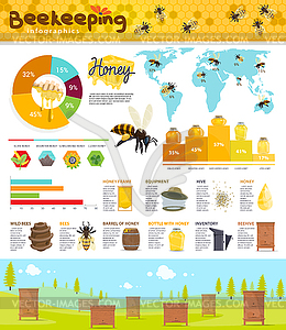 Beekeeping and honey production infographic - vector clipart