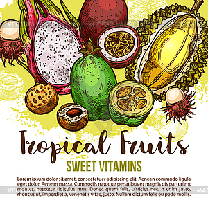 Плакат тропических фруктов экзотического азиатского ягодного эскиза - иллюстрация в векторе