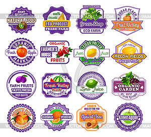 Fruit and berry label for food and drink design - vector image