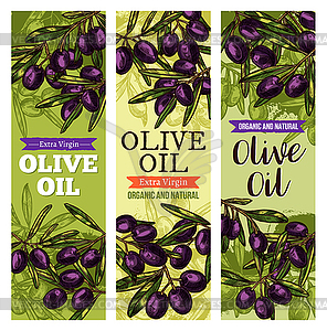 Olives bunch sketch banners for olive oil - vector image