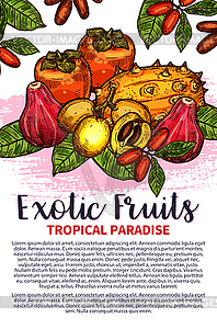 Fruits exotic tropical fruit sketch poster - vector clipart / vector image